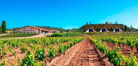 La Excelencia de Valduero: La Obra de Arte en Cada Botella