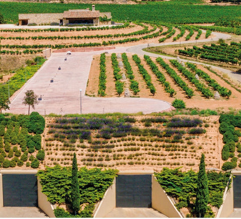 Valduero