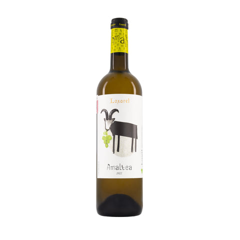AMALTEA BLANCO - Loxarel