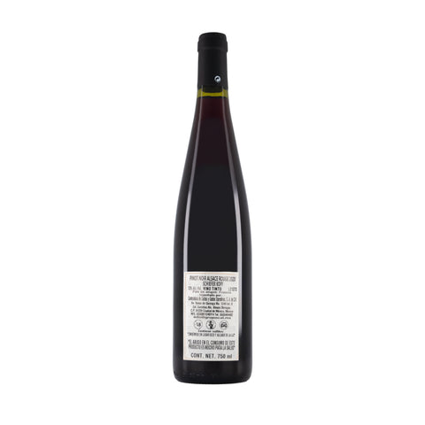 PINOT NOIR - Domaine Schieferkopf