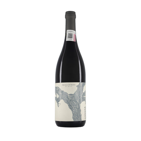 LIVVERA SANGIOVESE - Escala Humana