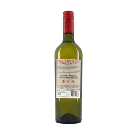 TERROIR SAUVIGNON BLANC - Zorzal